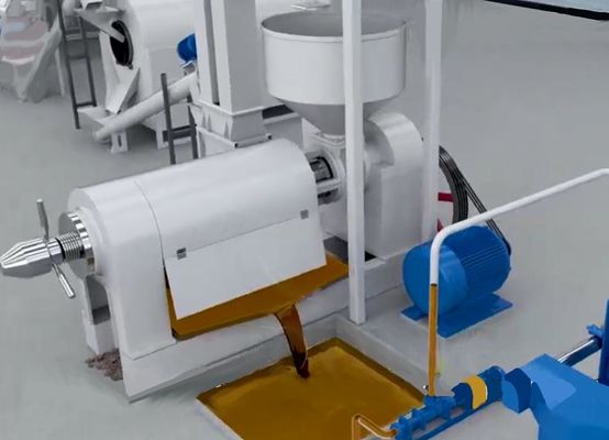 एक्सडीईएम पाम कर्नेल शेल छीलने क्रशिंग ऑयल प्रेस मशीन स्वचालित पाम नट क्रैकिंग और अलग करने की प्रणाली
