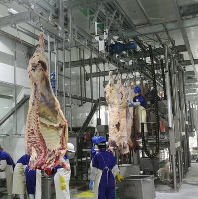Slaughtering Equipment Stainless Steel PLC Control Automatic Conveying Slaughter Line For Efficient Animal Meat Processing CE Certified